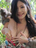 猴抓妹陈维芊遭袭袒胸露乳图片
